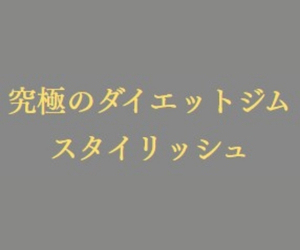スタイリッシュ